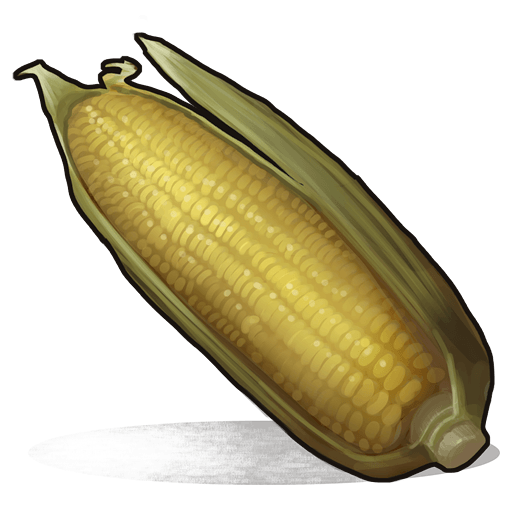 Corn